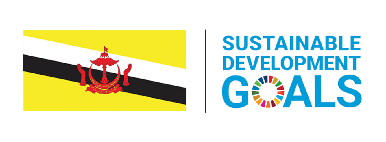 11 Sustainable Development Goals.png